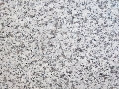 山東白麻(大花)