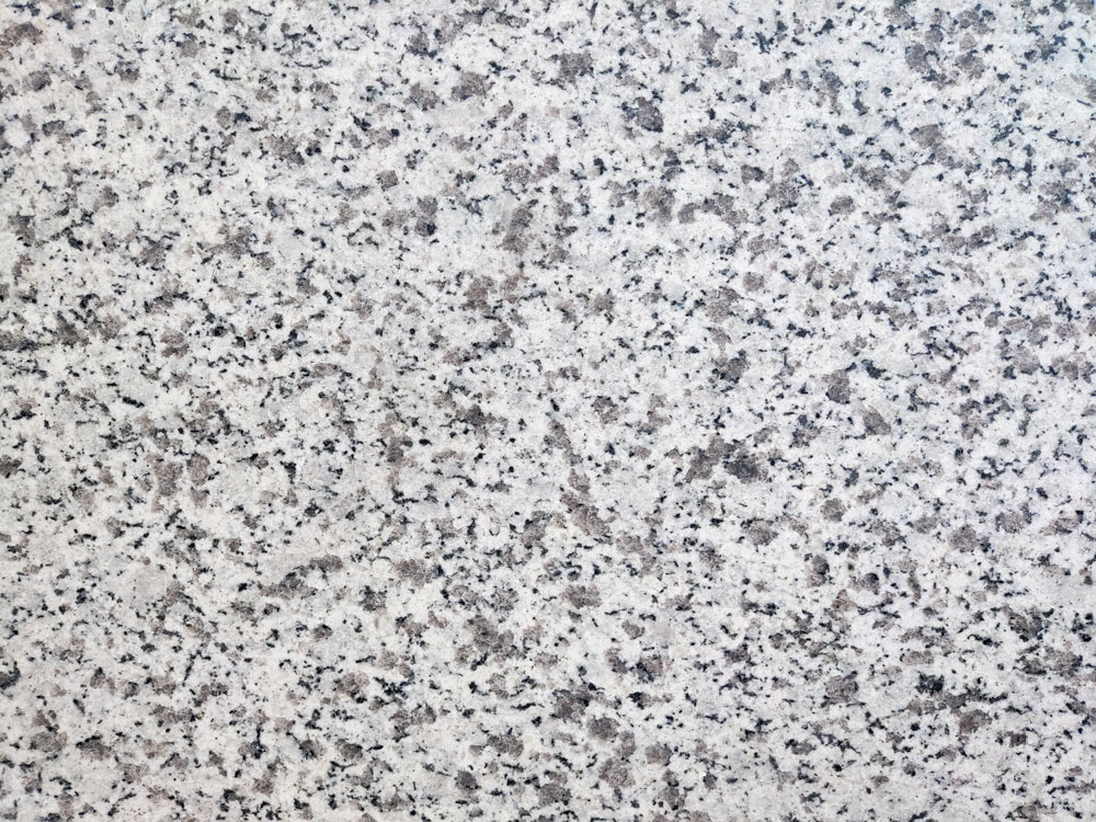 山東白麻(大花）